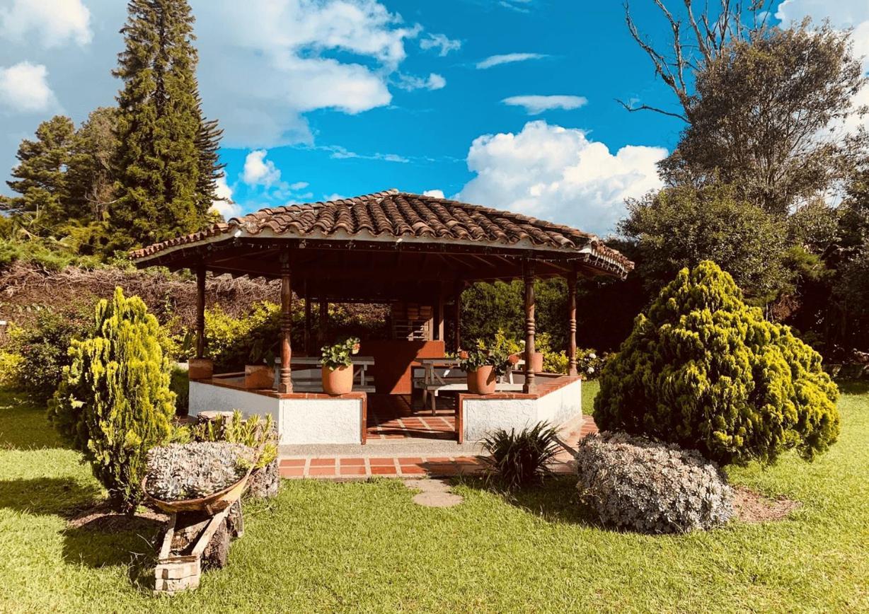 Csi Llanogrande *
